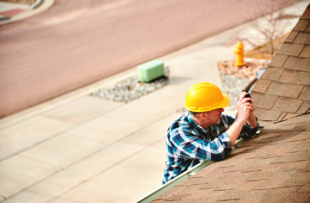 Best Roof Gutter Cleaning  in Neoga, IL